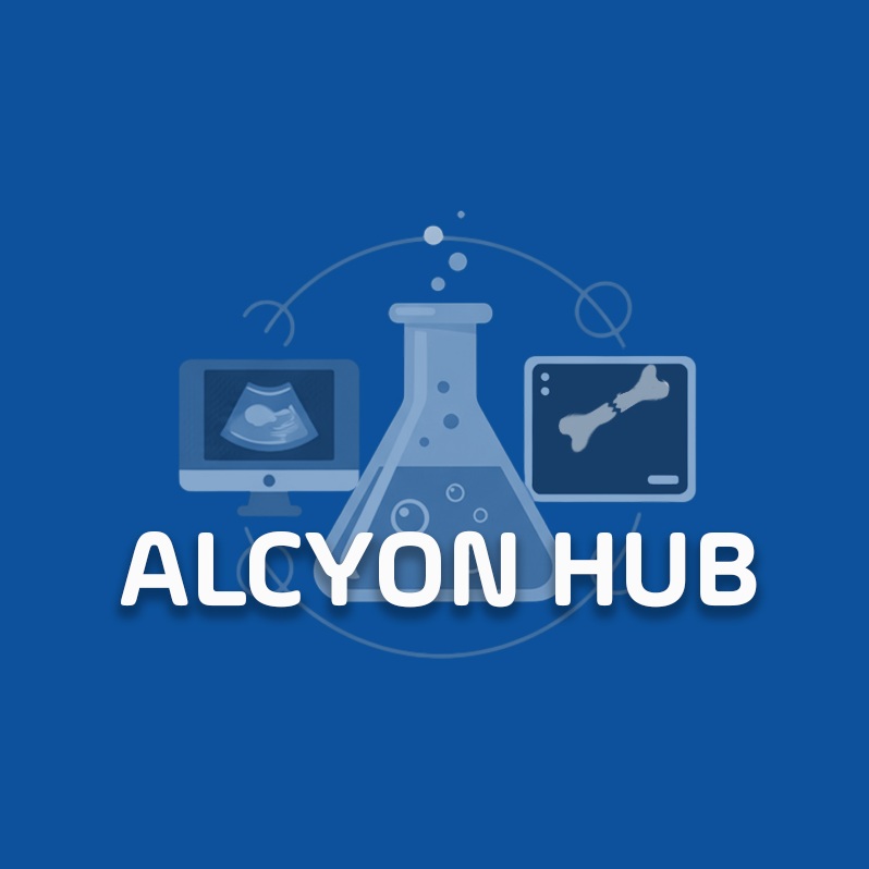Alcyon Italia Logo